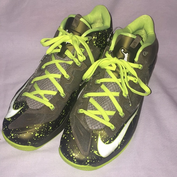 lebron 11 low dunkman